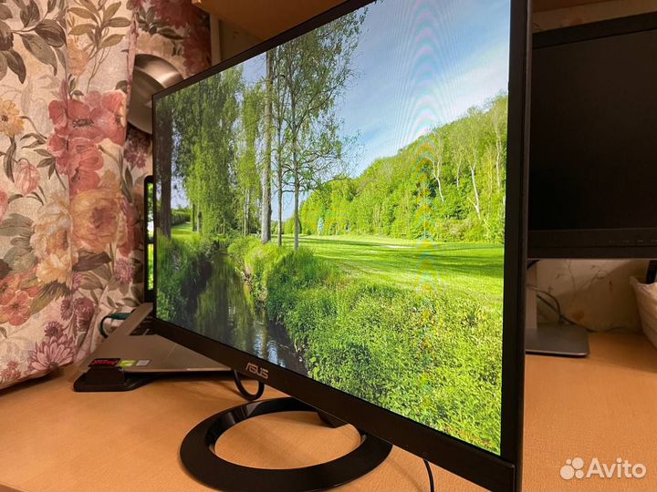 Монитор Asus 23