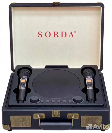 Караоке система колонка с двумя микрофонами sorda