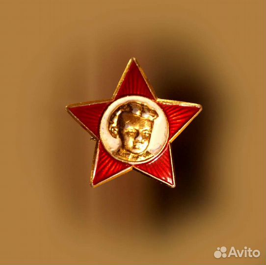 Коллекция значков СССР с реестром