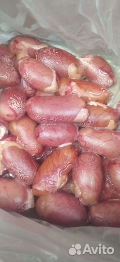 Корм для собак