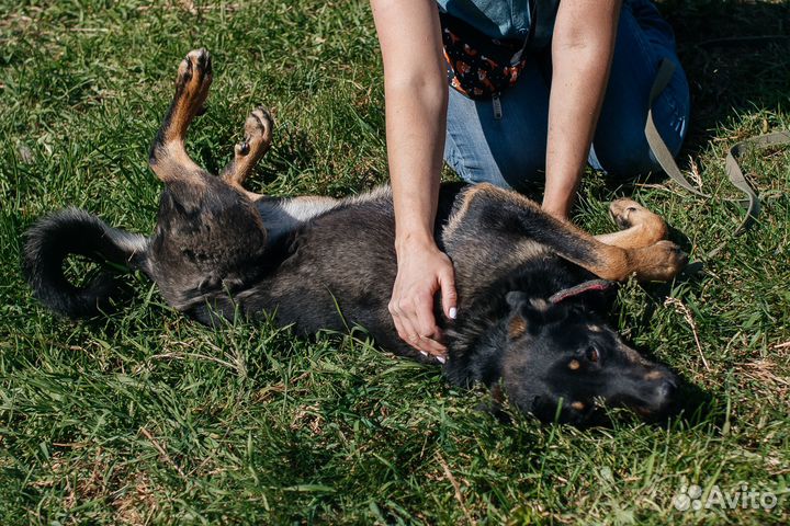 Скромная девочка