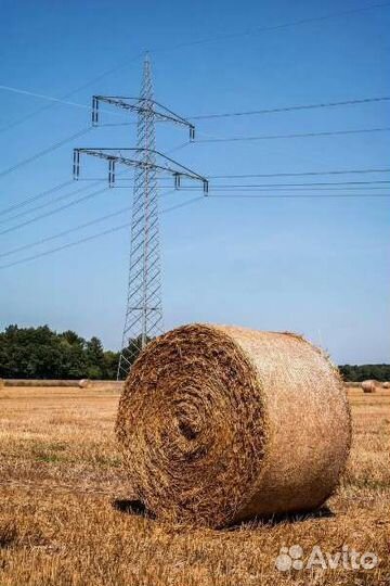Продам сено в рулонах