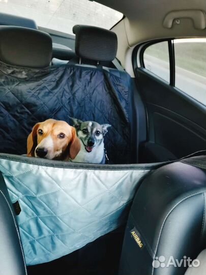 Зоотакси, перевозка животных, собаки, кошки, такси