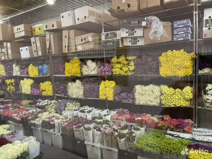 Пионы ландыш