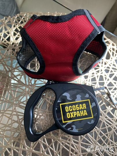 Шлейка для маленькой собаки, поводок