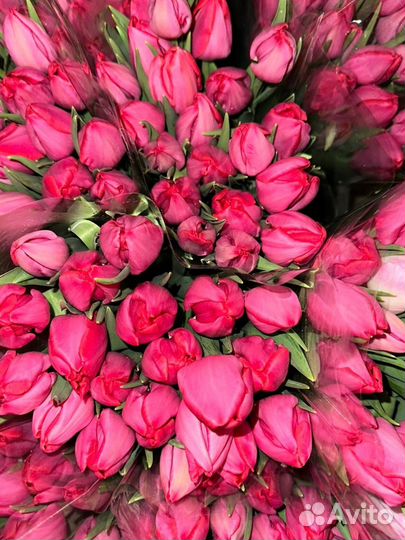 Тюльпаны к 8 марта опт/розница/организации