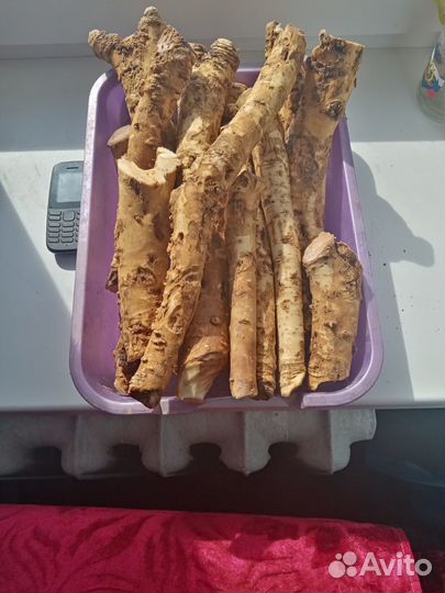 Продать корень хрена