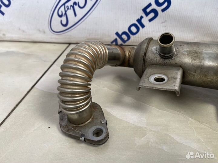 Радиатор системы EGR Ford Focus 2 CB4 1.8 (kkda)