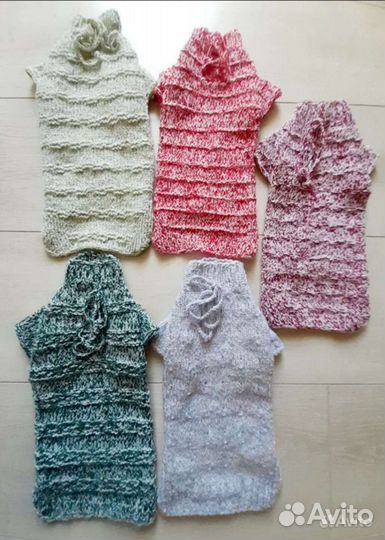 Одежда для собак, кошек