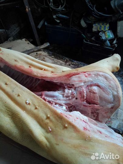Мясо свинина и говядина домашняя