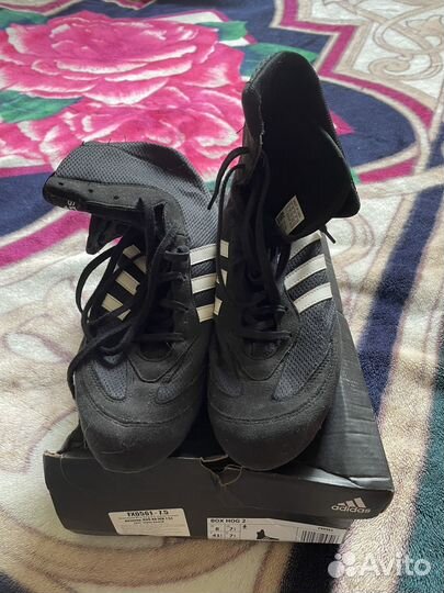 Боксерки adidas box hog 2