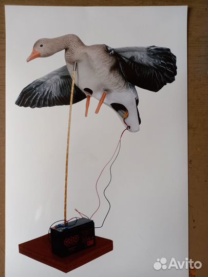 Махокрыл гуся decoys elite-3D с пультом
