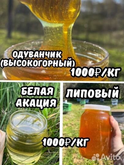 Безкусный мед