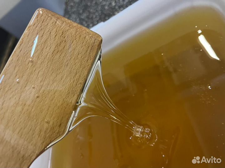 Свежий мед оптом цветочный