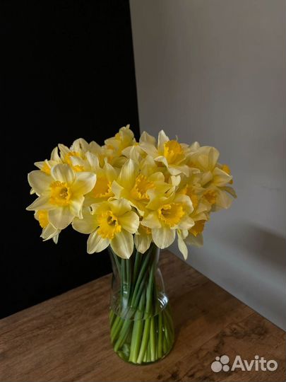 Нарцисы