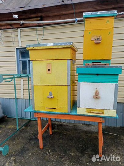 Улей для пчел