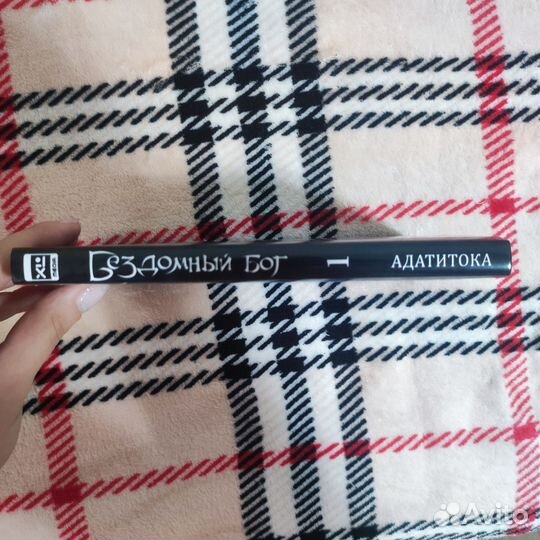 Бездомный бог 1 том