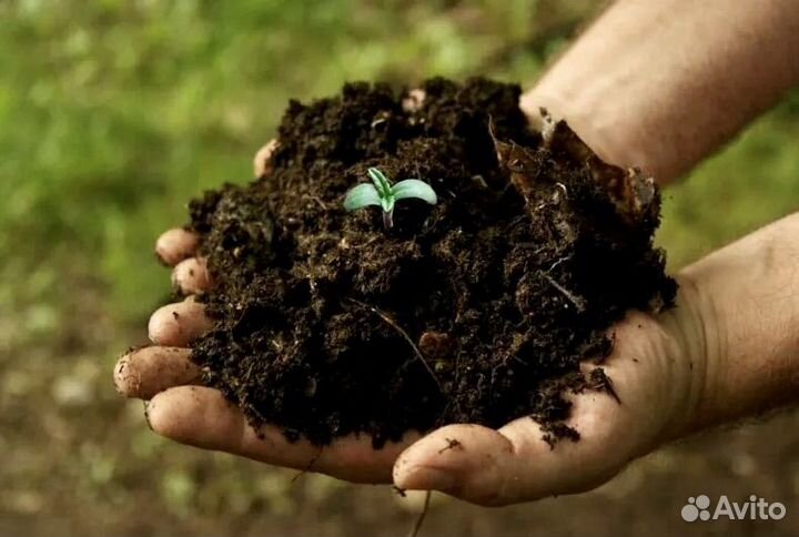 Навоз перегной в мешках с доставкой