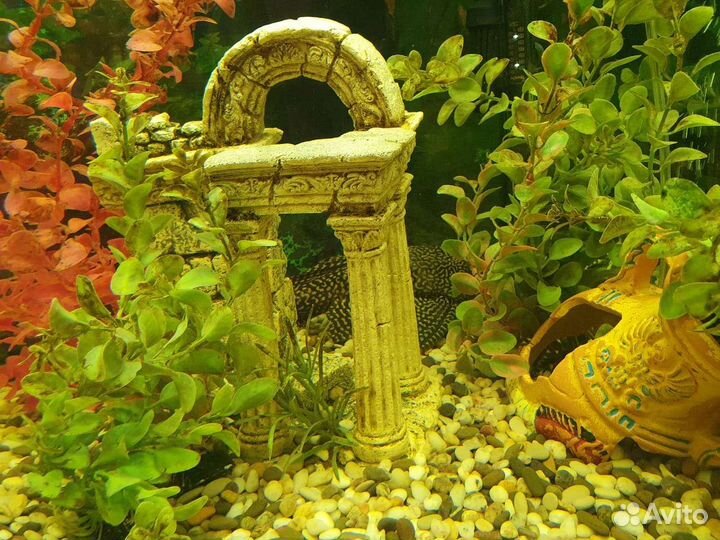 Аквариум Биодизайн Диарама с тумбой и фильтром