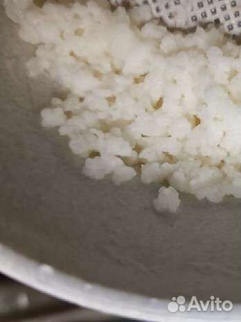 Тибетский молочный гриб