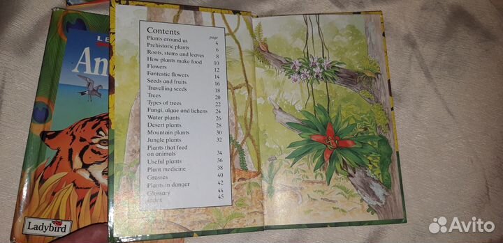 Английский язык диск 3 класс Spotlight,книжки 4 шт