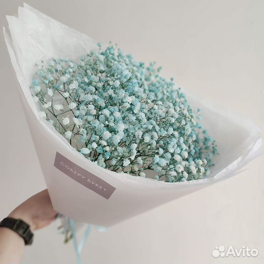 Гипсофила Бирюзовая