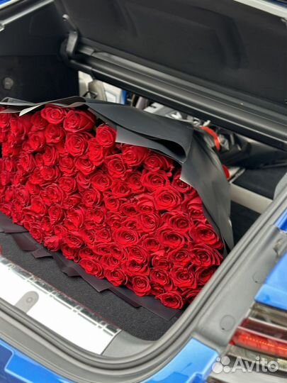 Роза пионовидные розы 11 21 51 101 доставка