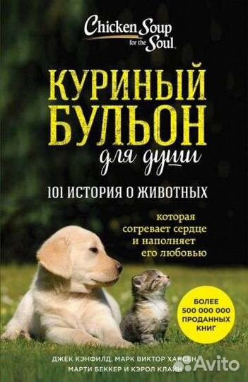 Куриный бульон для души