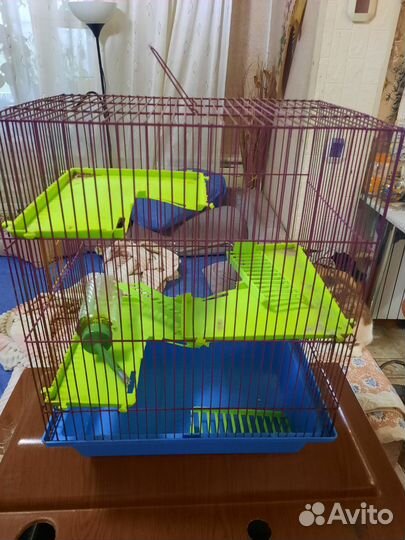 Клетка для грызунов