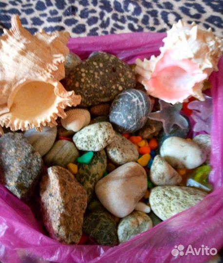 Галька, ракушки