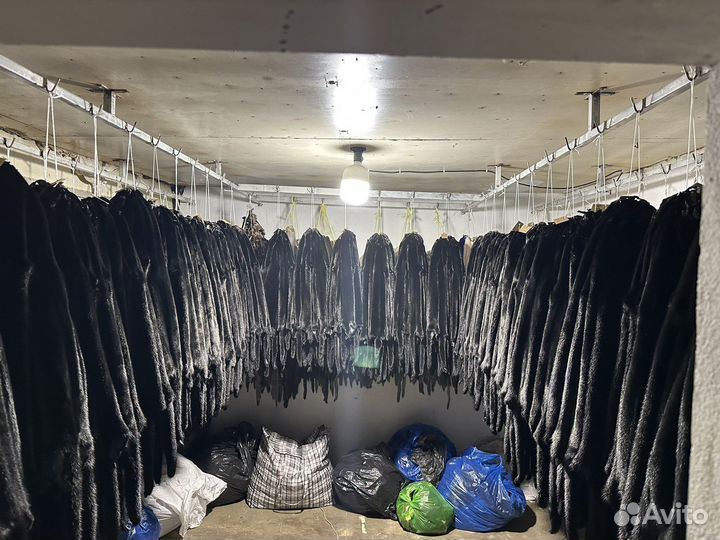 Шкуры норки