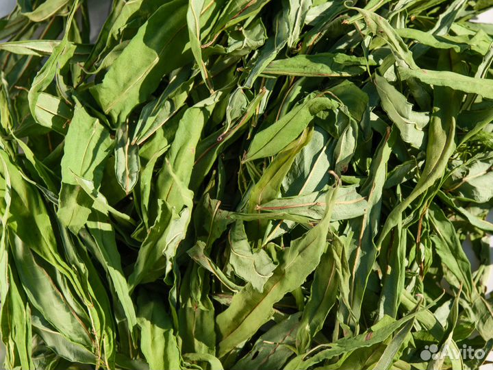 Иван-чай лист (кипрей), сушеный, 50г