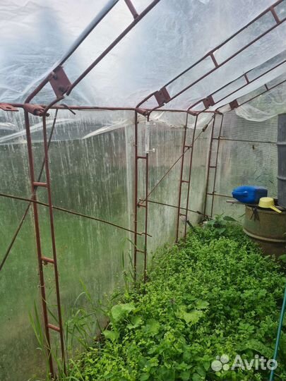 Теплица поликарбонат