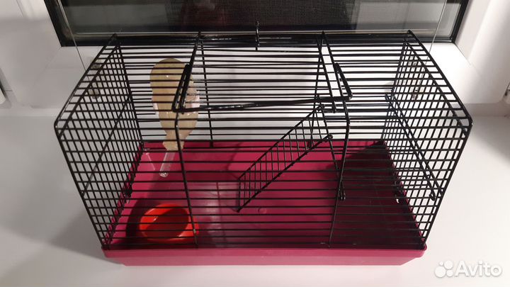 Клетка для грызунов бу