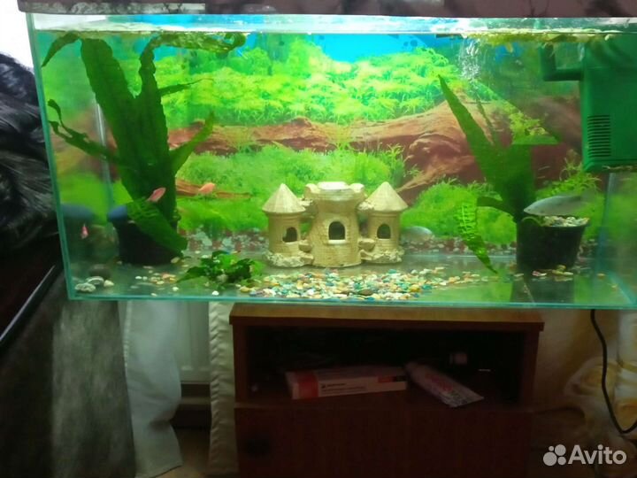 Аквариум
