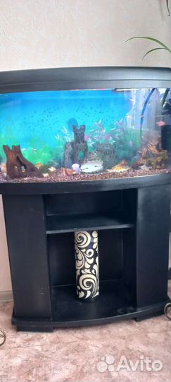 Аквариум на 100 литров