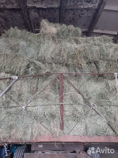 Сено солома в тюках