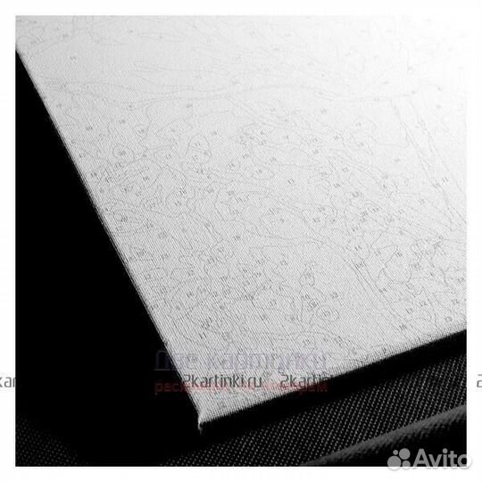 Картина по номерам 40x50 Завтрак с видом на собор