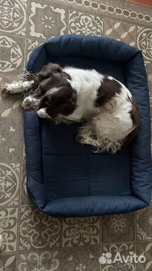 Лежанка для собак