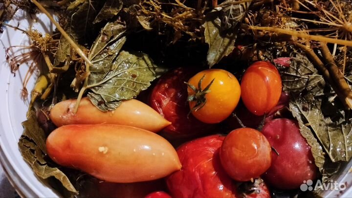 Домашнее соленья