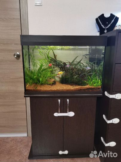 Аквариум с тумбой 110 литров