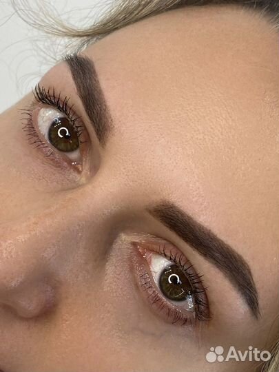 Мастер бровист