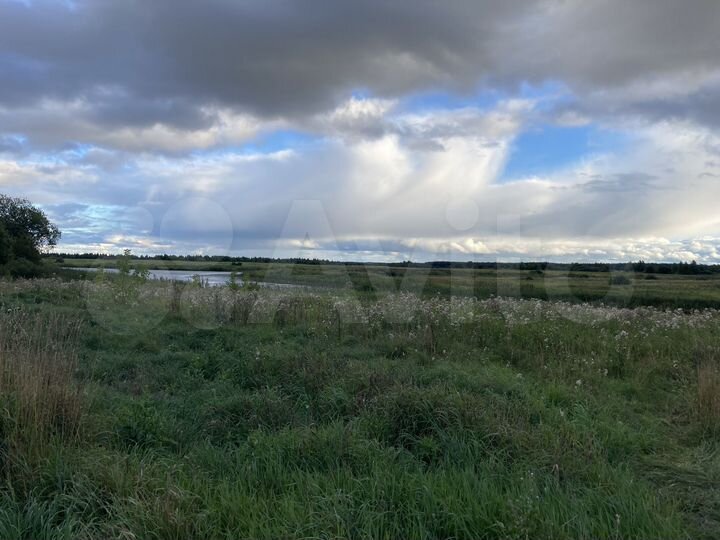 Участок 3,72 га (СНТ, ДНП)