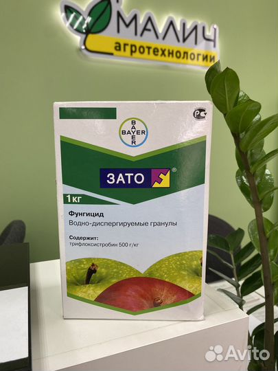 Зато, вдг фунгицид