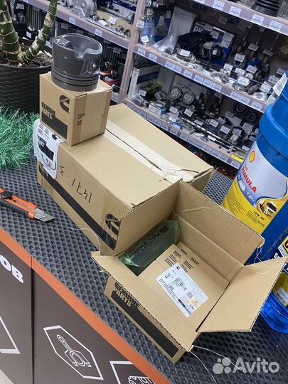 Поршень дв.Cummins ISF 2.8 Оригинал