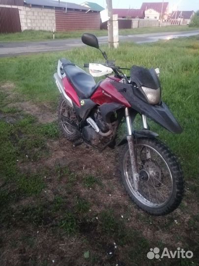 Рейсер ренжер