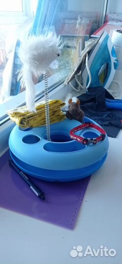 Бронь. Игрушки для кошек