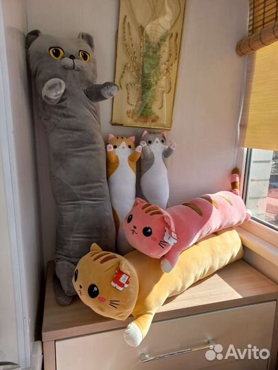 Коты батоны много разные