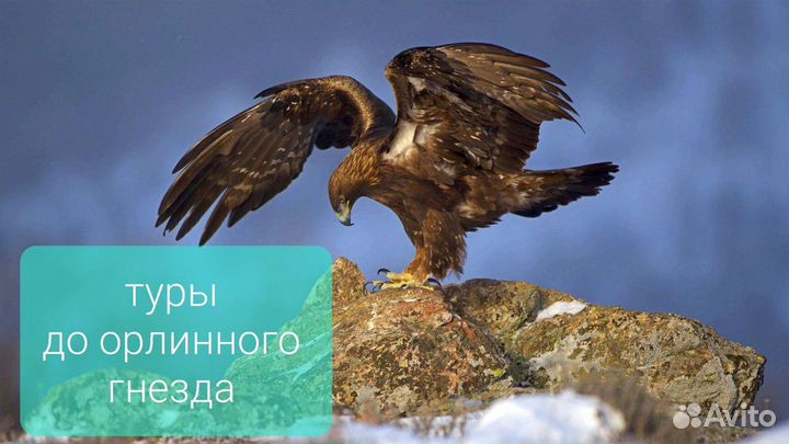 Экскурсии путешествия-по дагестану