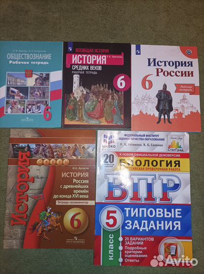 Рабочая тетрадь 6 класс